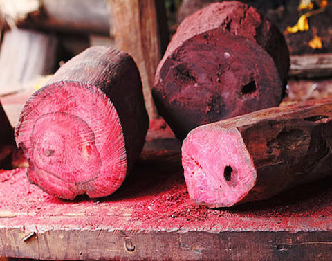 滋養身心的能量 花梨木精油 禾場國際芳療學苑